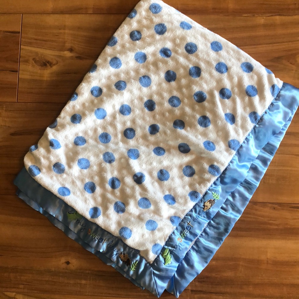 Two boy blankets. So soft!